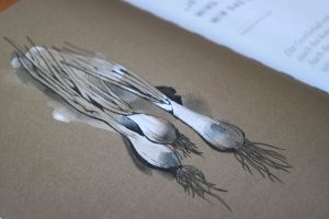 Engelhorn 125-jubiläum, Engelhorn, Jubiläumsbuch, Illustrationen, Zwiebel
