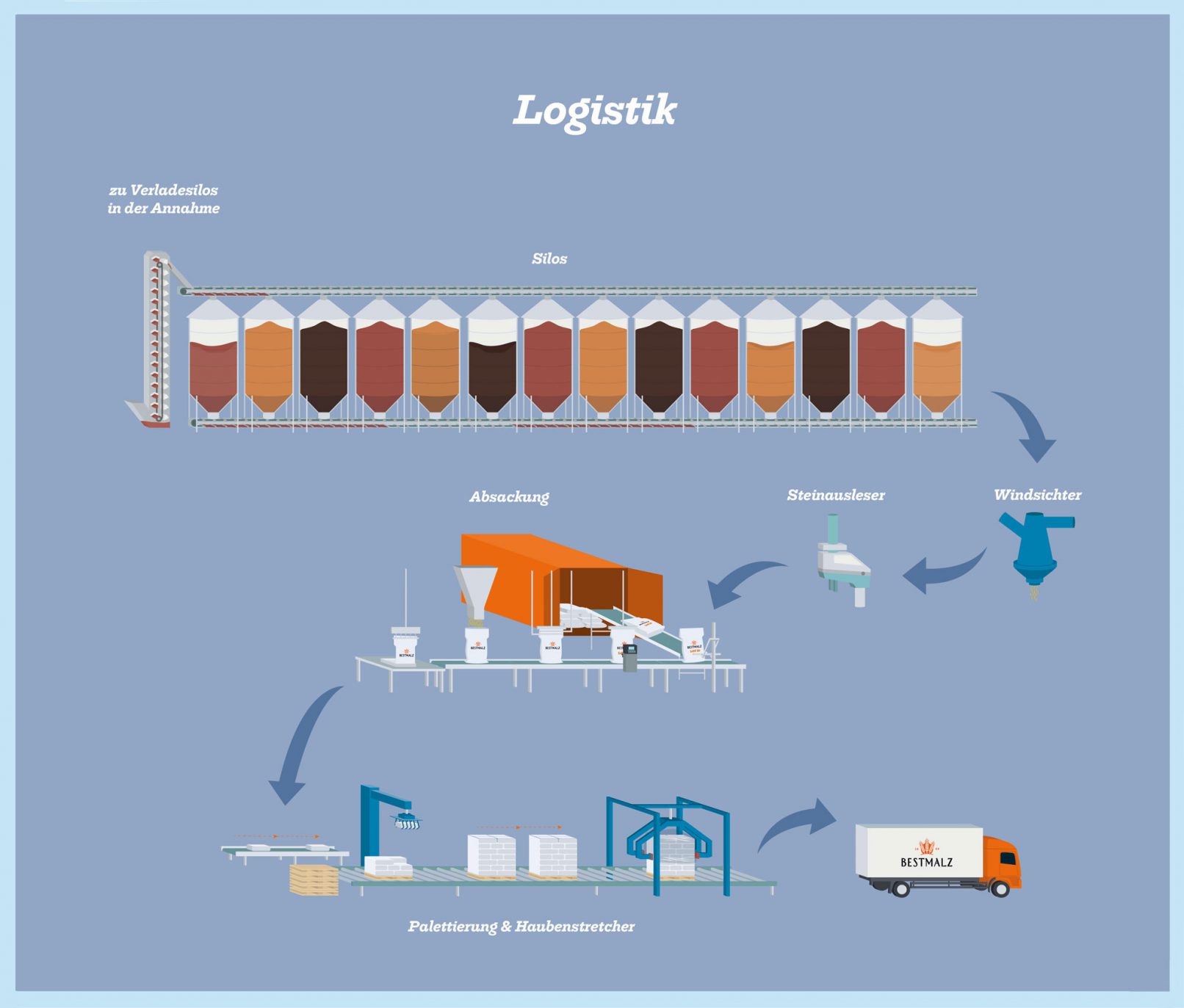 Bestmalz Infografik Malzvorgang Fliessschema Wallertheim Mälzerei